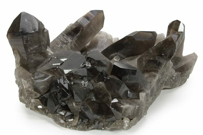 Wide, Free-Standing Smoky Quartz Cluster - Brazil #229589
